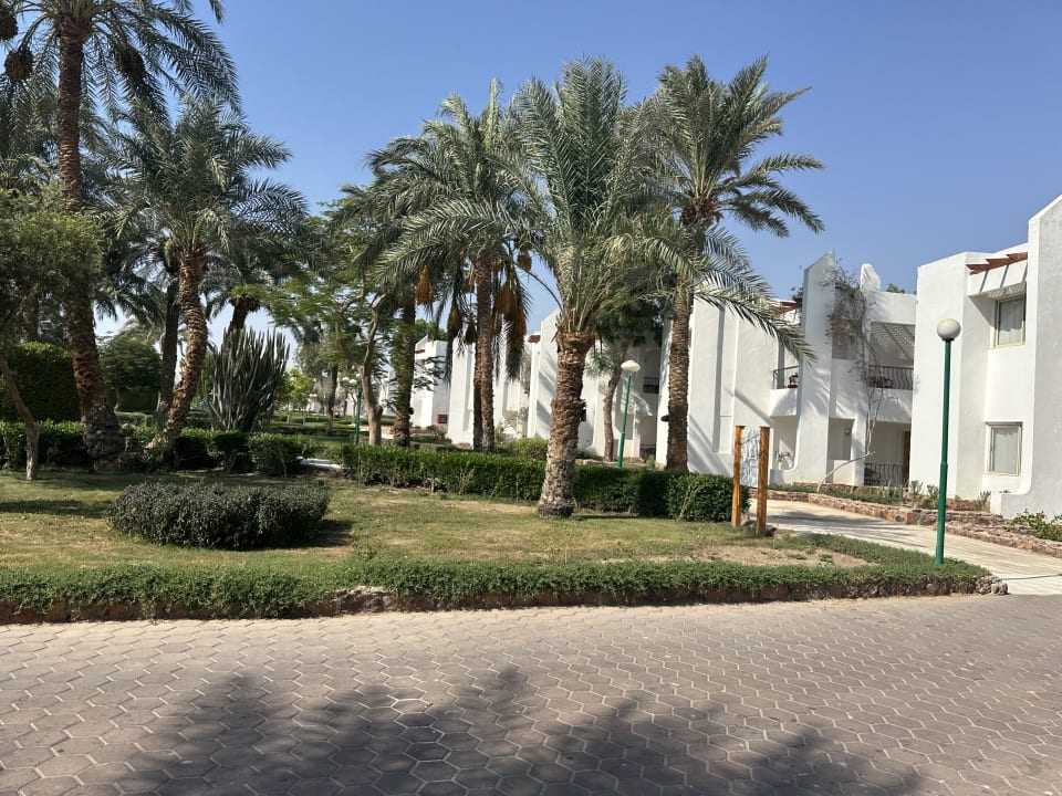 Sonstiges Menaville Safaga