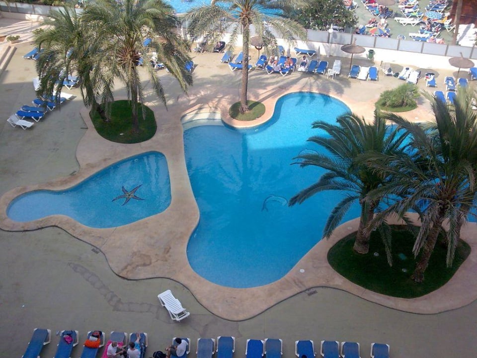 Pool  Aparthotel Playa Dorada