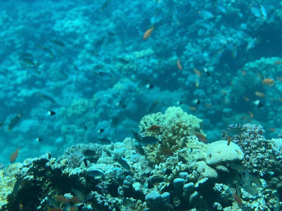 Sport & Freizeit Grand Makadi