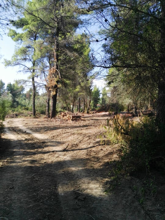 Strand Hotel Chrousso Village