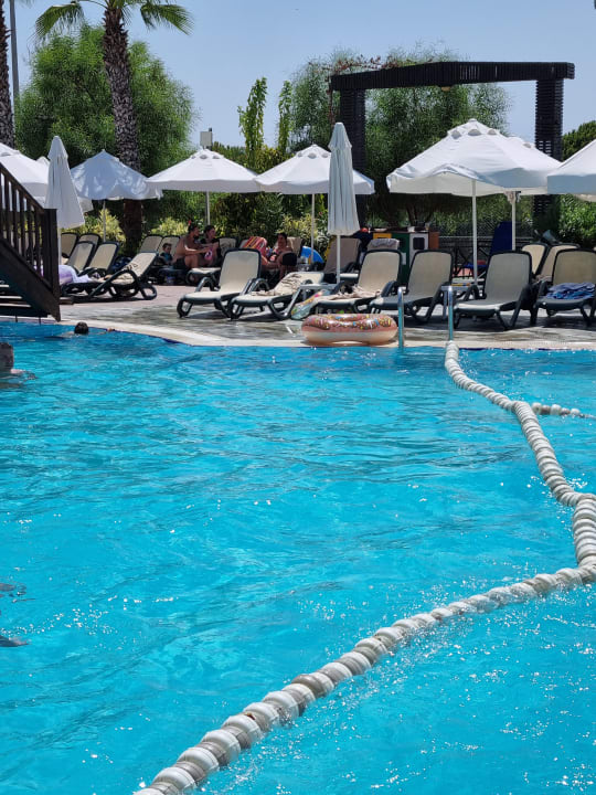 Pool Alba Resort Hotel