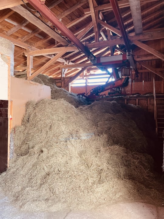 Strand Urlaub am Bauernhof Wachter