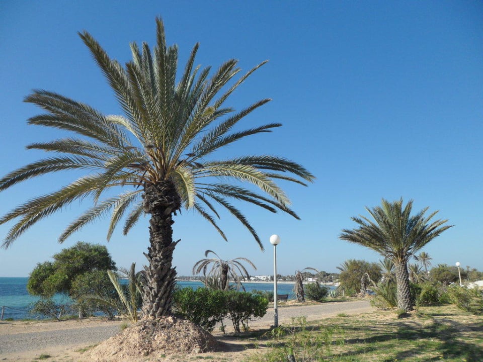 Weg zum Strand Hotel El Mouradi Djerba Menzel