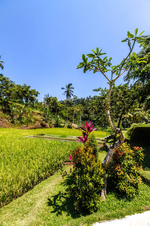 Gartenanlage Four Seasons Resort Bali at Sayan