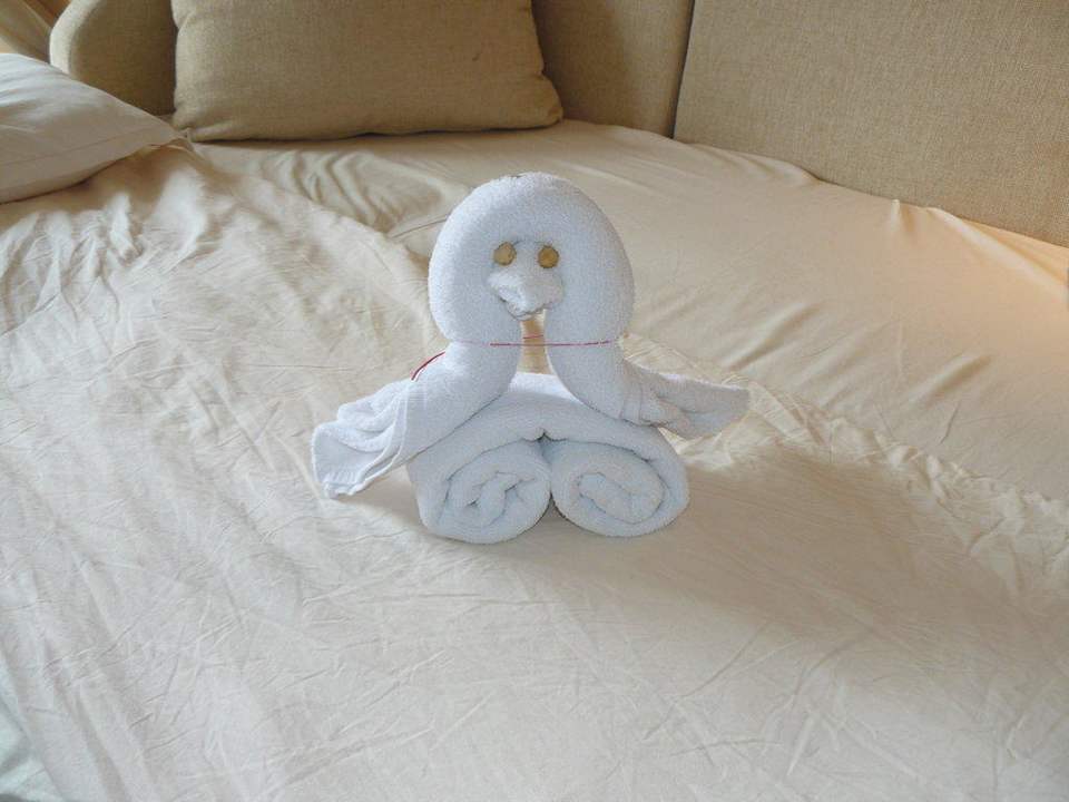 Handtuchtierchen Hotel Cazablanka / Casablanca