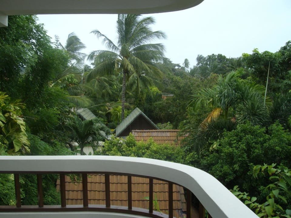 Paradiesischer Garten inklusive Samui Natien Resort