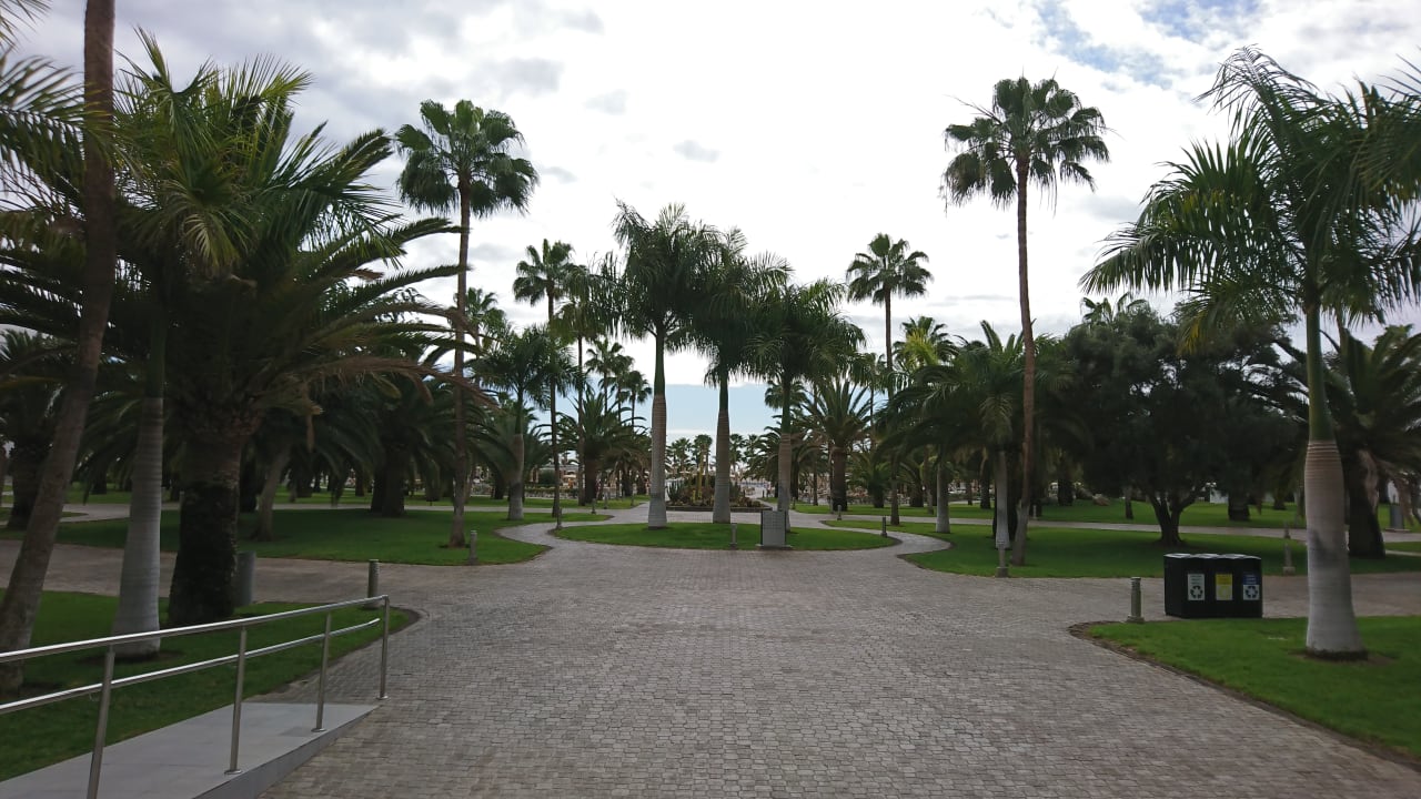 Gartenanlage Hotel Riu Gran Canaria