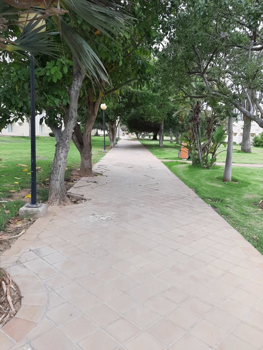 Gartenanlage Hotel Riu Oliva Beach - Hotel