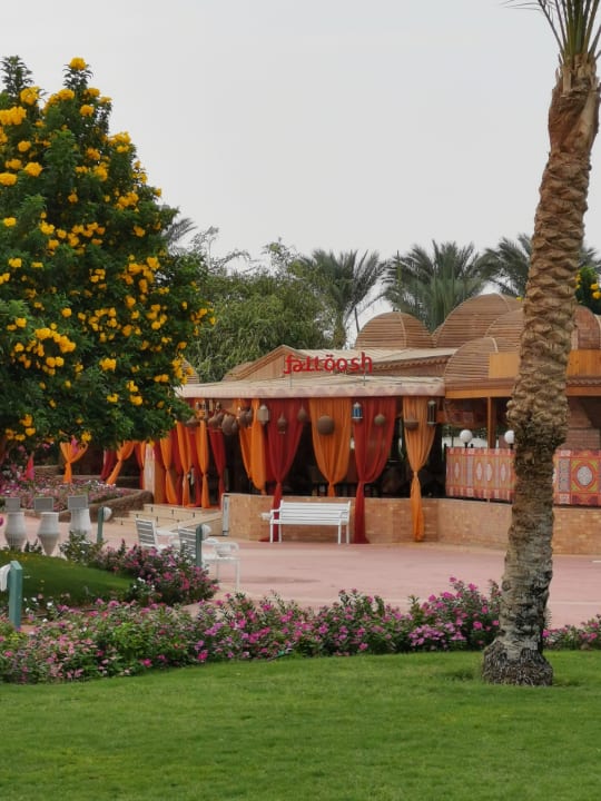 Gartenanlage Desert Rose