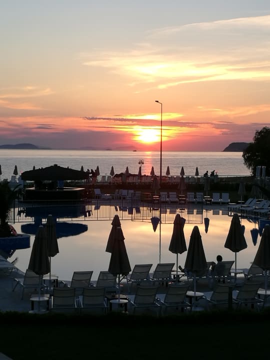 Pool MyElla Bodrum Resort & Spa