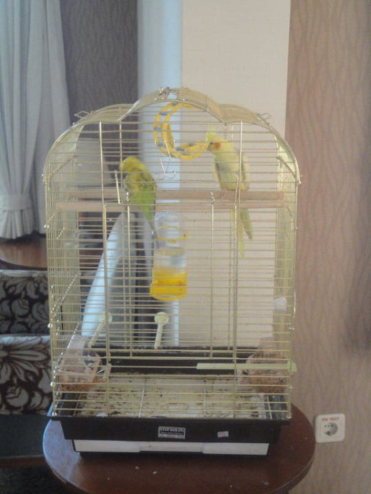 Riviera Riviera Hotel & Spa