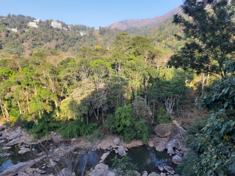 Ausblick Hotel Rivulet Resort