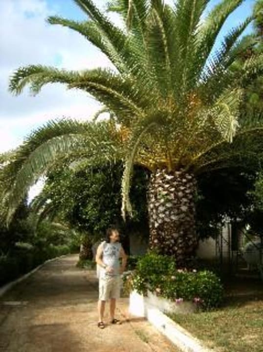 Hotelanlage Scoglio della Galea Village & Spa