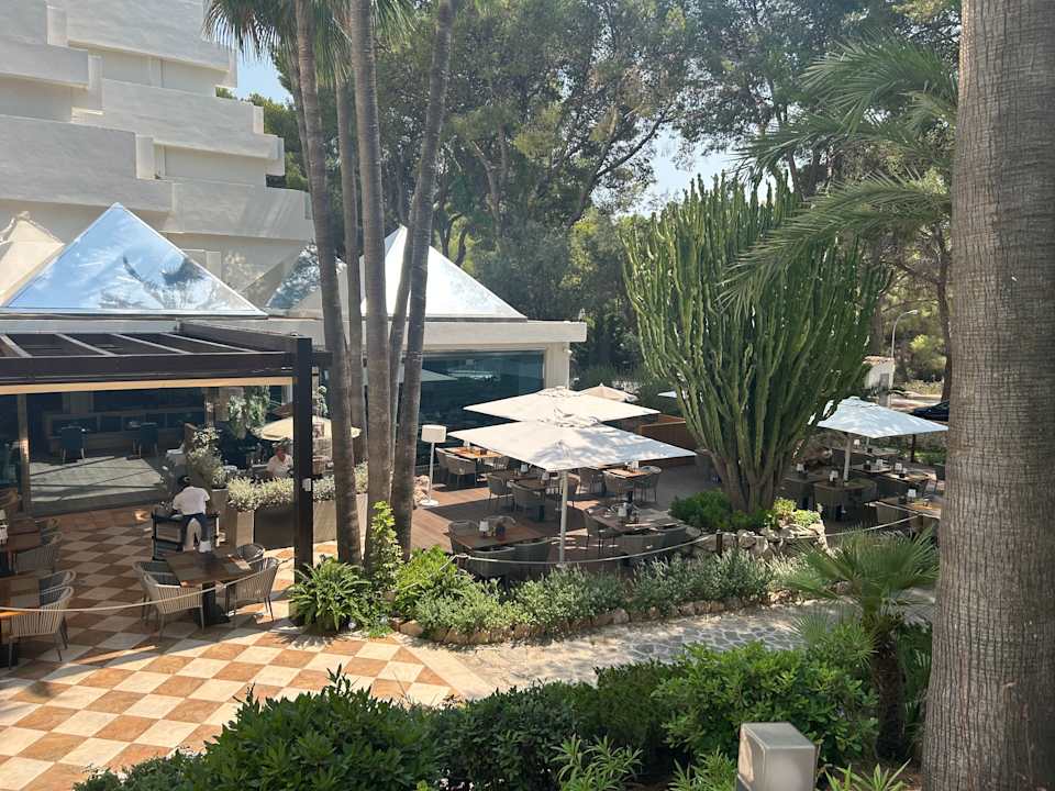 Gartenanlage allsun Hotel Bella Paguera