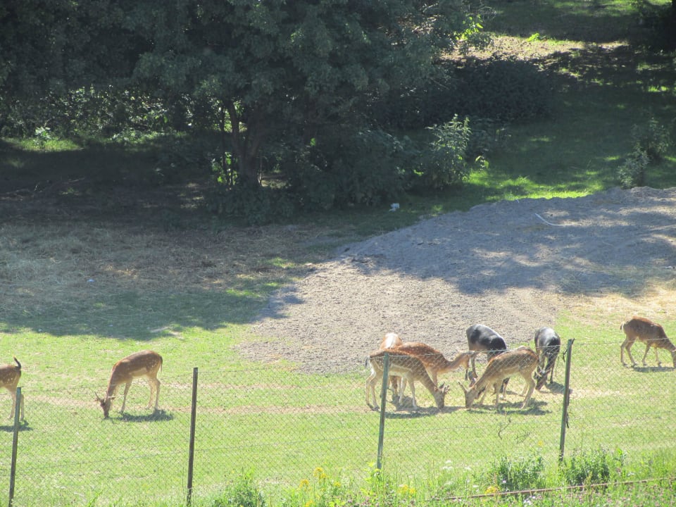 Okolice hotelu Hotel Arłamów