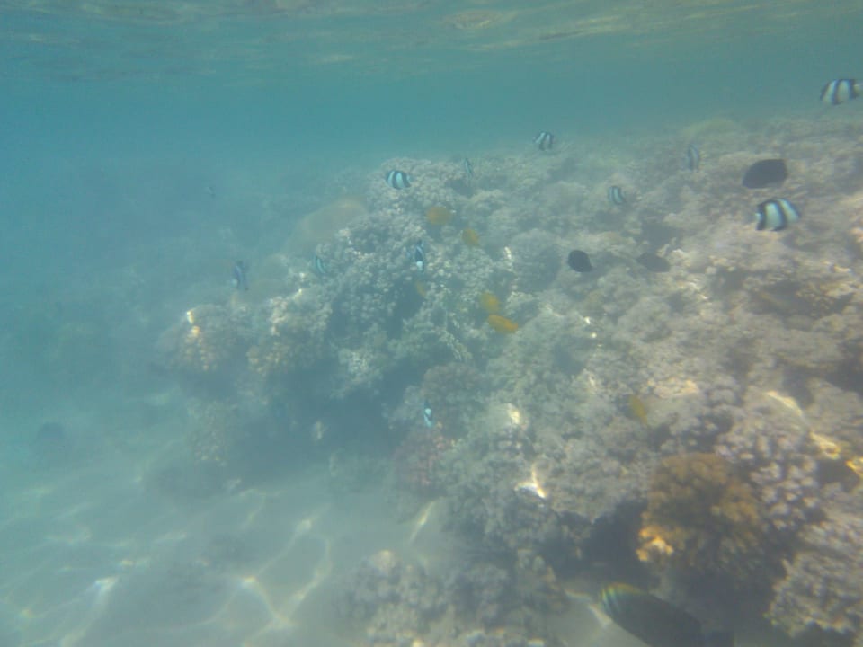 Strand Cleopatra Luxury Resort Makadi Bay