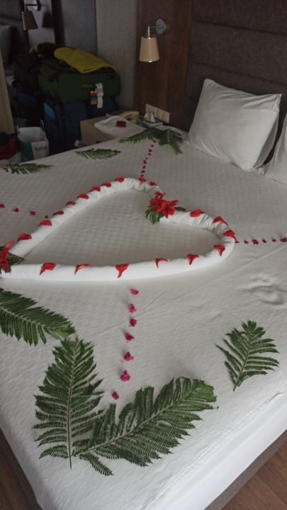 Zimmer Monachus Family Resort Sorgun