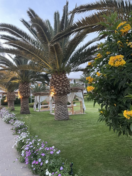 Pool Grand Waterworld Makadi & Family Star Makadi