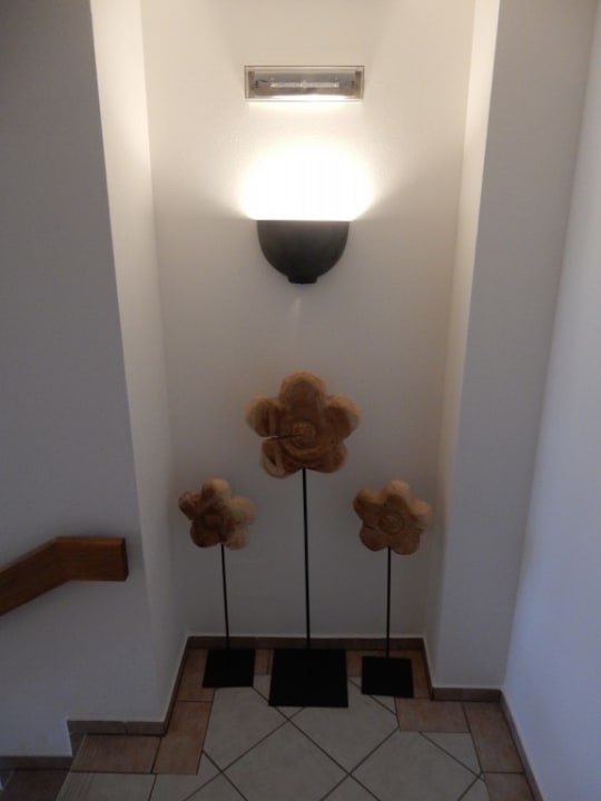 Sonstiges Der Grüne Baum Hotel