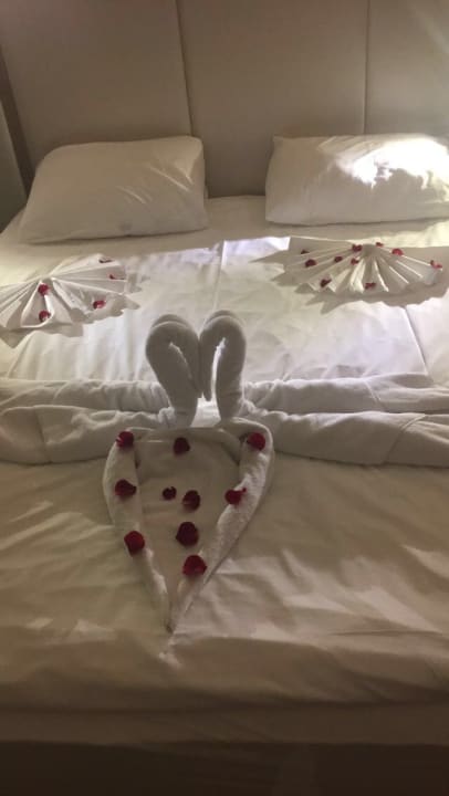 Zimmer Hotel Botanik Platinum