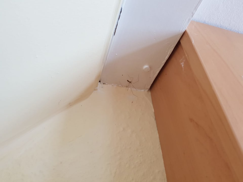 Zimmer Ferienwohnungen Ferienpark Weissenhäuser Strand