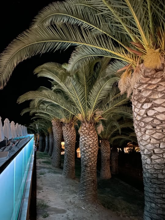 Gartenanlage Aristoteles Holiday Resort & Spa