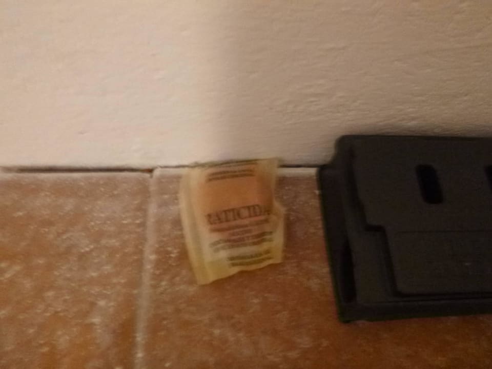 Rattengift und Mäuseköder Hotel La Aldea Suites