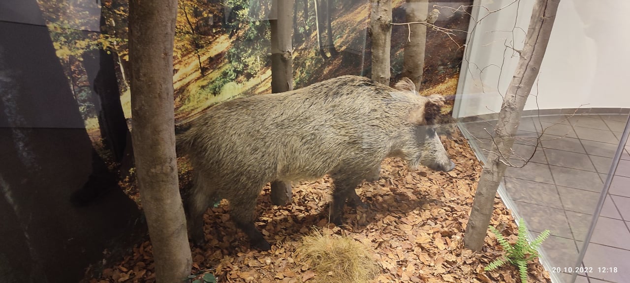 Ausblick Berghotel Hoher Knochen