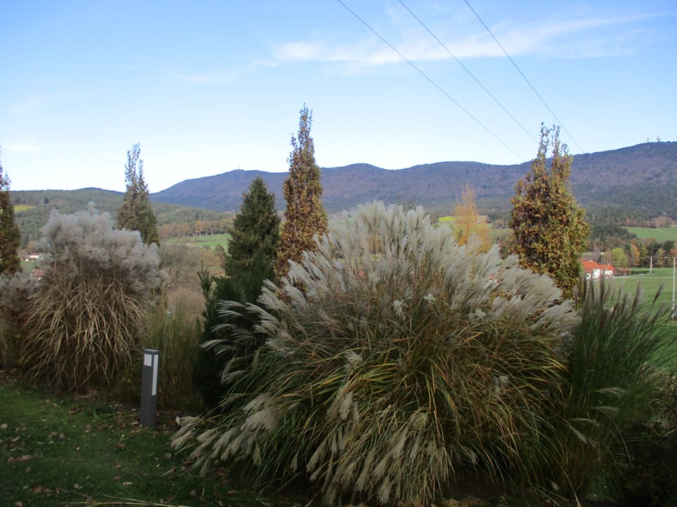 Ausblick Spirit & SPA Hotel Birkenhof am Elfenhain