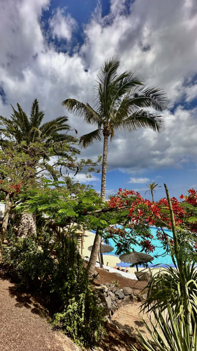 Gartenanlage allsun App.-Hotel Esquinzo Beach
