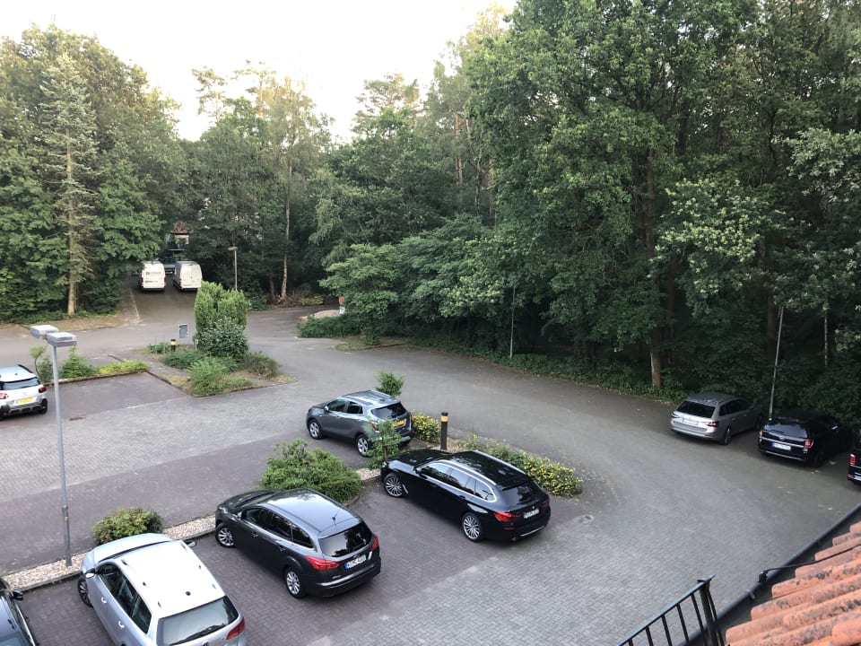 Ausblick Heidehotel Soltauer Hof