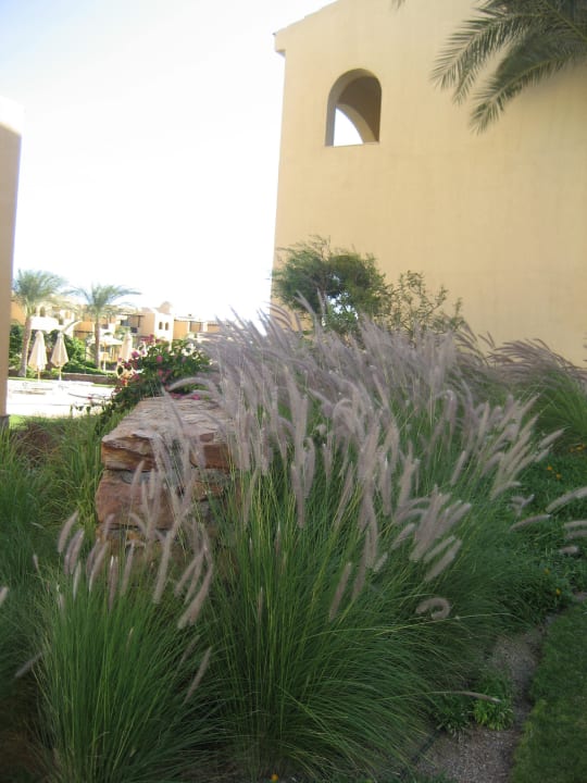 Anlage Stella Garden Resort & Spa, Makadi Bay