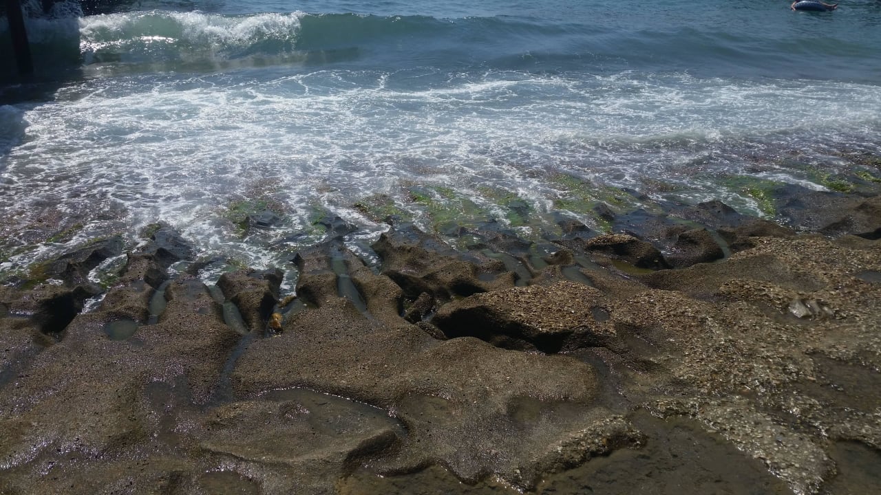 Ein kleiner Teil vom Strand Dizalya Palm Garden