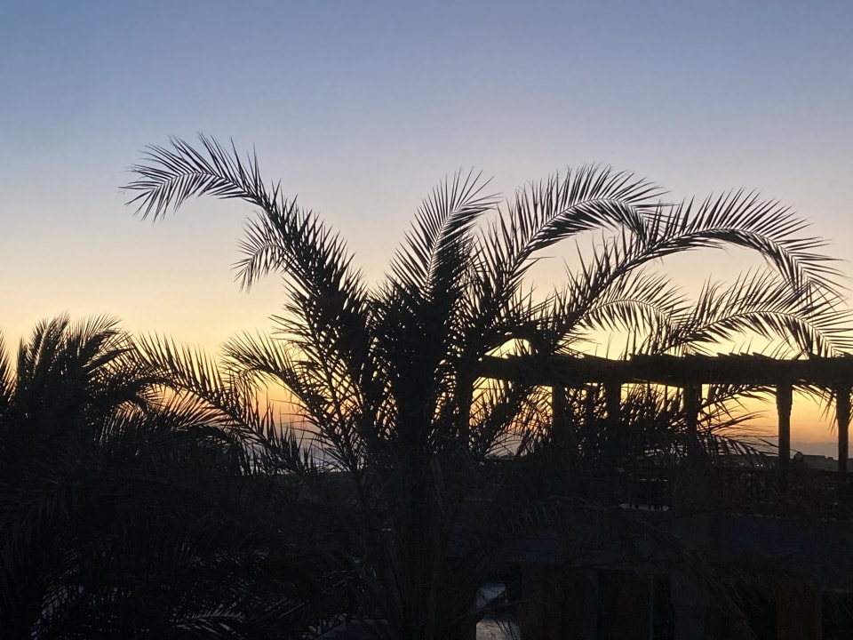 Gartenanlage Lazuli Hotel Marsa Alam