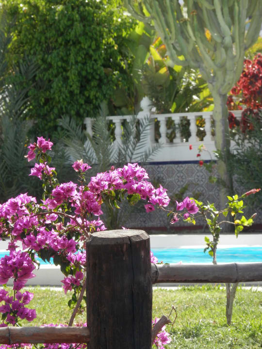 Blick von der Poolbar HL Miraflor Suites Hotel