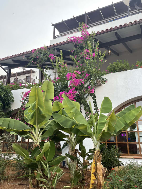 Gartenanlage Creta Maris Resort