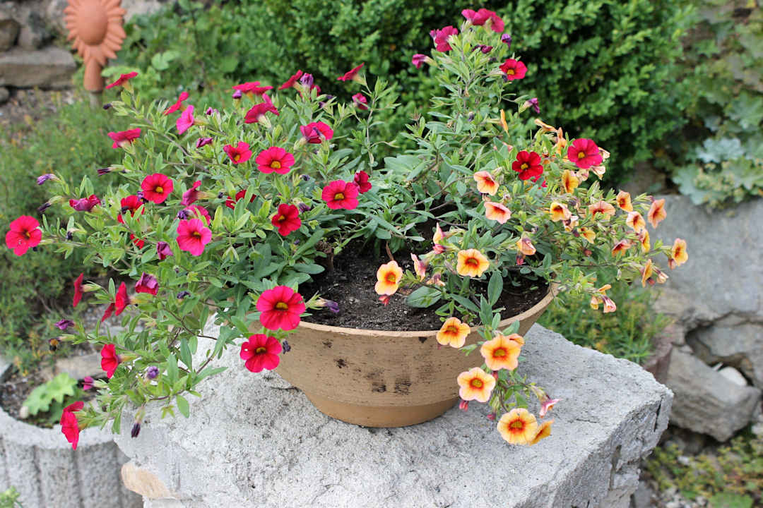 Gartenimpression Landhaus Arberkristall