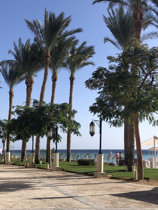 Strand Makadi Spa - Adults only