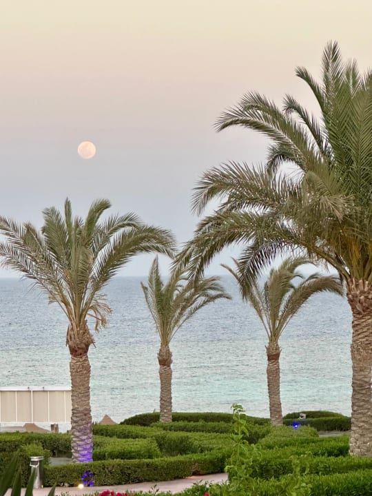 Gartenanlage Fantazia Resort Marsa Alam