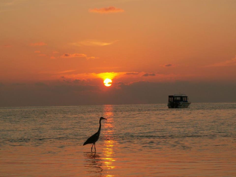 Sonnenuntergang Meeru Maldives Resort Island