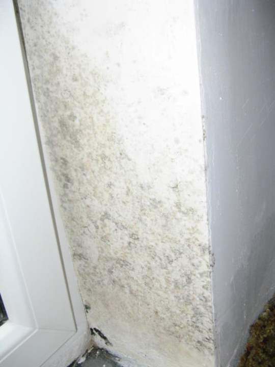 Ściana przy balkonie Hotel Tulipan