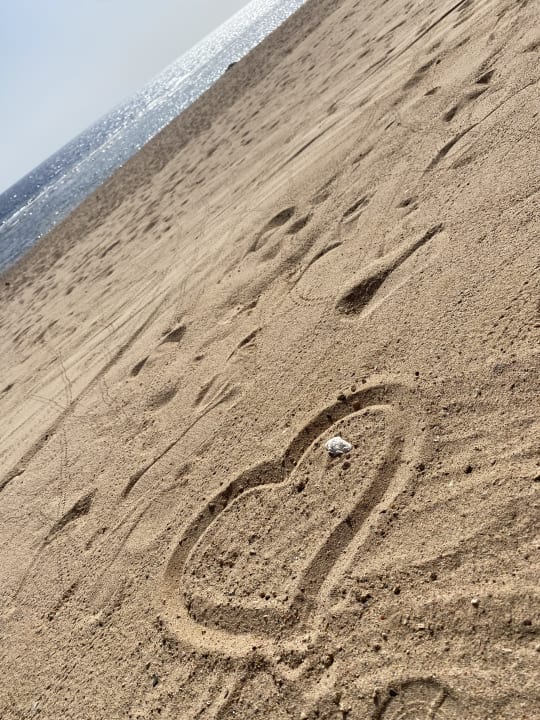 Strand Steigenberger Resort Alaya Marsa Alam - Red Sea - Adults only
