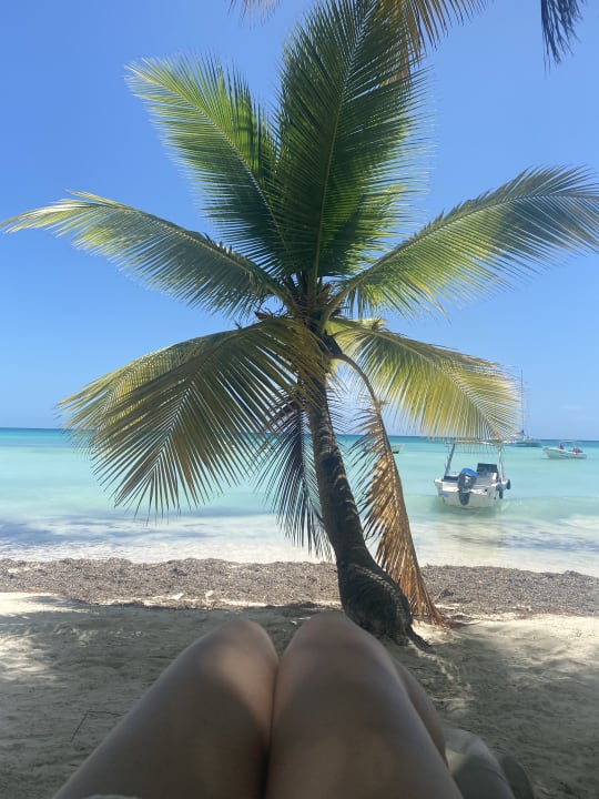 Strand Hotel Viva Dominicus Beach by Wyndham - All Inclusive Resort