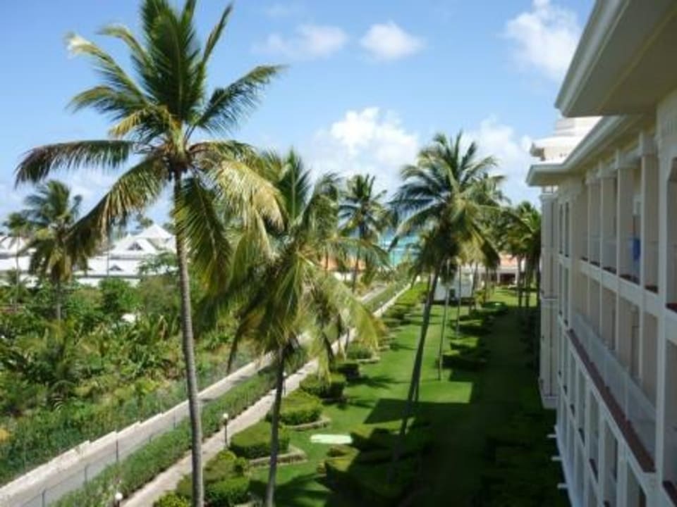 Blick vom Balkon in Richtung Meer Hotel Riu Palace Punta Cana