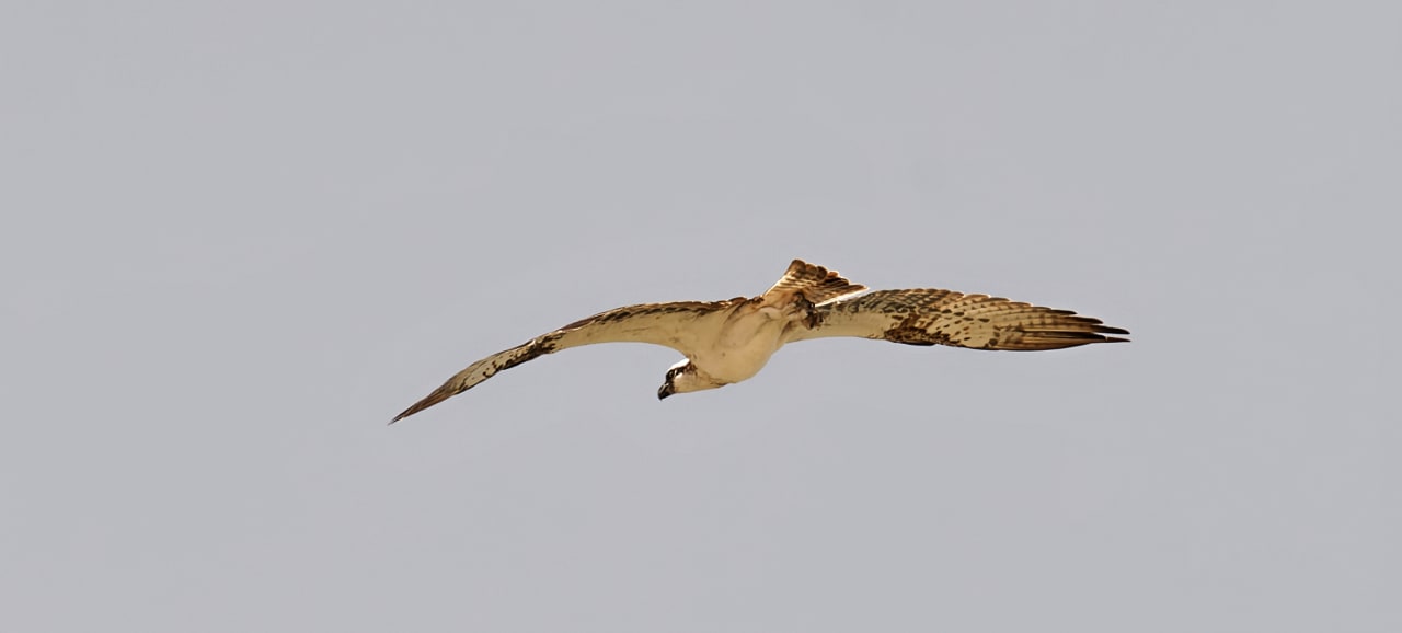 Strand Premier Le Reve Hotel & Spa