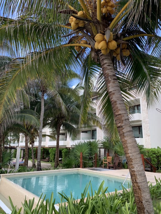 Außenansicht Akumal Bay Beach & Wellness Resort