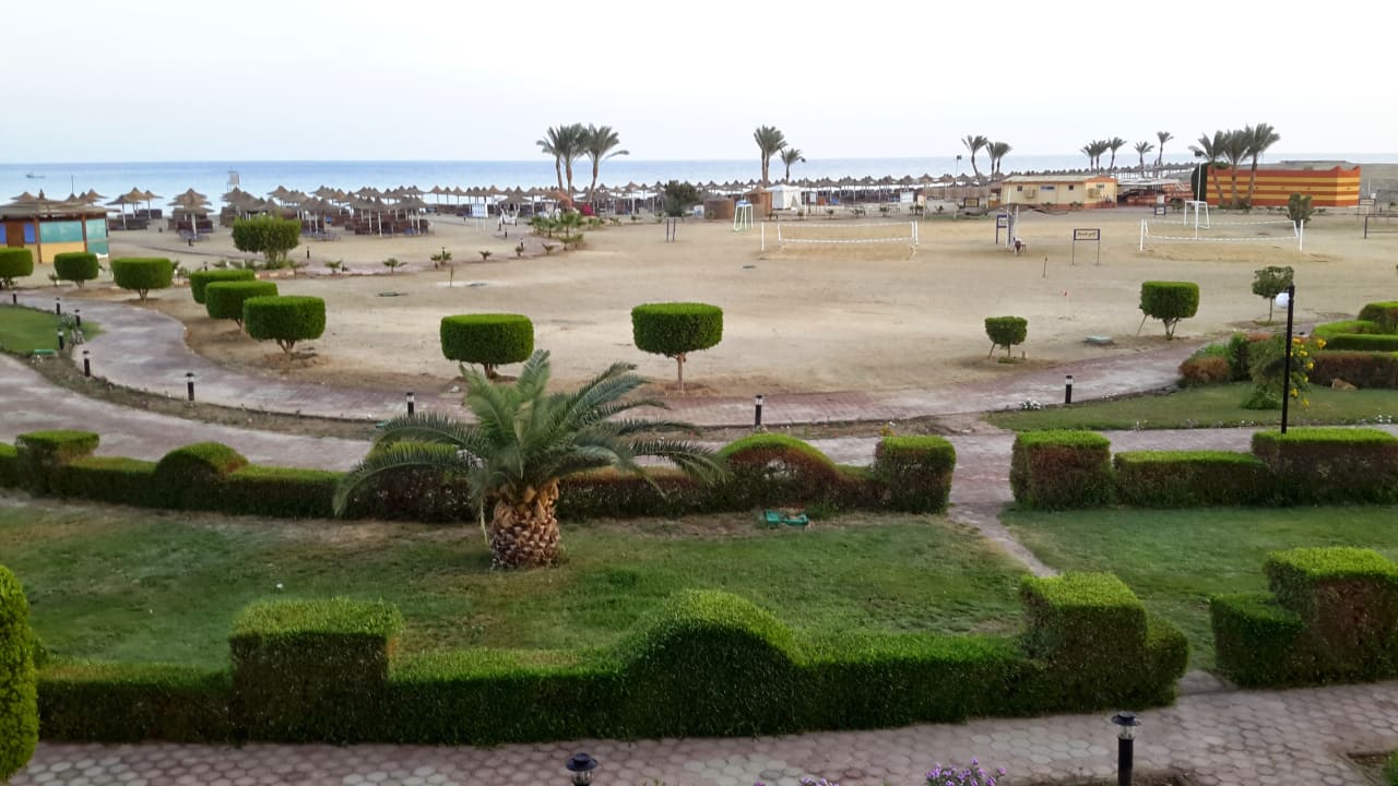 Ausblick Malikia Resort Abu Dabbab