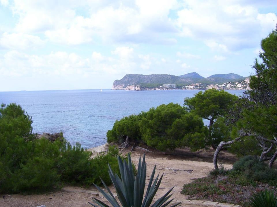 Urlaubsgenuss pur Hapimag Resort Paguera