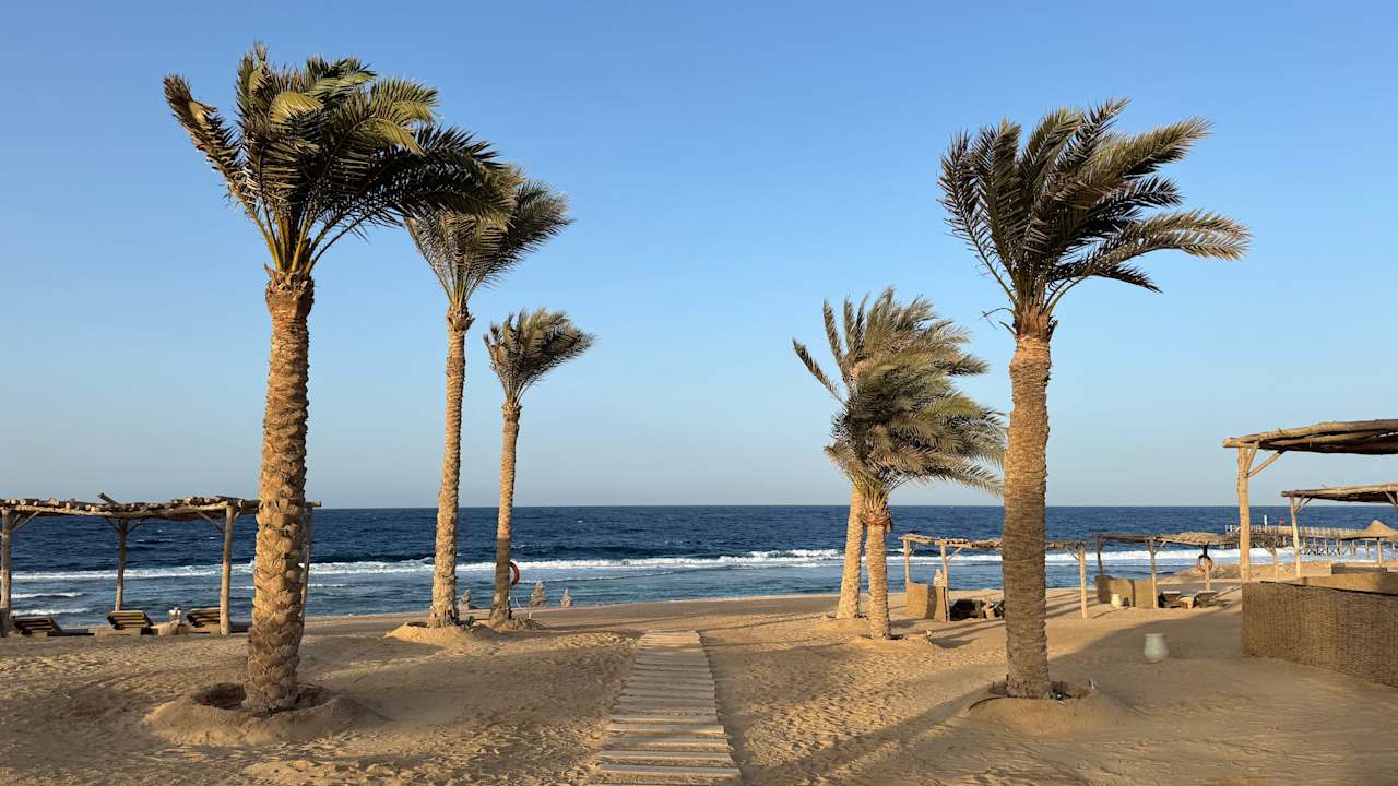 Strand Steigenberger Resort Alaya Marsa Alam - Red Sea - Adults only