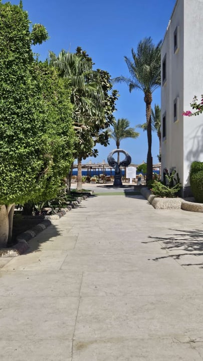 Sonstiges Seagull Beach Resort